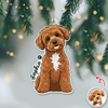 Custom Cute Dog Photo Portrait Christmas Decoration Acrylic Ornament LM32 895713