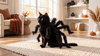 Kitty Costume For Halloween TH10 171105