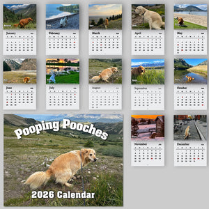 2026 Pooping Pooches Funny Dog Wall Calendar, White Elephant Gag Gift LM32 897307