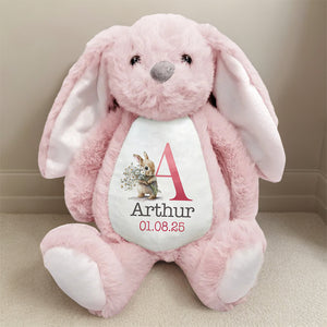 Custom Name Bunny Plush New Baby Gift, Baby Shower Gift From Family Members HA75 891980
