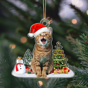 Custom Photo Cat Christmas Acrylic Ornament For Cat Lovers HA75 897282