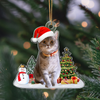 Custom Photo Cat Christmas Acrylic Ornament For Cat Lovers HA75 897282