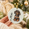 Custom Dog Photo And Name Stripes Ceramic Ornament For Christmas TH10 170749