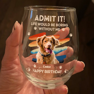Custom Photo Admit It Life Would Be Boring Without Us Wine Glass HA75 892124