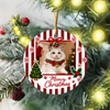Custom Dog Cat Photo Merry Christmas Ceramic Ornament, Personalized Gift For Pet Lovers HA75 919144