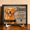 Custom Dog Portrait Photo Memorial 2-Layers Wooden Collar Frame Sympathy Gift LM32 893785
