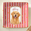 Custom Cartoon Pet Photo Vintage Jewelry Dish Gift For Pet Lovers LM32 669739
