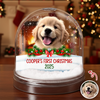 Custom Photo Dog First Christmas Acrylic Snow Globe HA75 898112