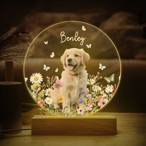 Custom Pet Portrait Photo LED Night Light Gift For Pet Memorial TH10 894487