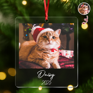 Custom Cat Photo Acrylic Ornament Christmas Gift For Cat Lovers LM32 895771