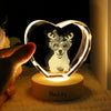 Custom Dog Cat Photo Engraved Crystal Photo With Light HA75 898202