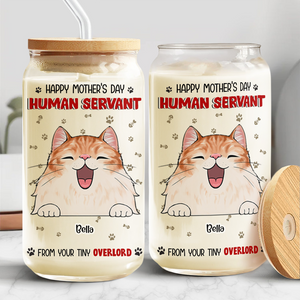 Happy Mother's Day Human Servant Funny Personalized Glass Can With Lid Gift For Cat Lovers CH07 895446
