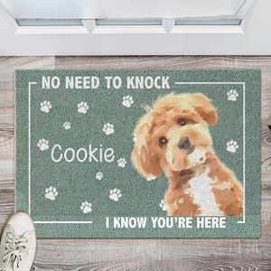 Custom Photo No Need To Knock, We Know You're Here Doormat For Dog Cat Lovers HA75 891936