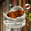 Custom Photo You Would Have Lived Forever Pet Memorial Acrylic Ornament HA75 897122