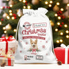 Christmas Treats Special Delivery For Dog Christmas Sack 896845