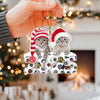 Custom Photo Acrylic Ornament Christmas Gifts For Dog Cat Lovers HA75 898200
