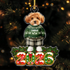 Custom Dog Cat Photo with Xmas Clothes Christmas Acrylic Ornament HO82 904152