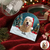 Custom Dog Photo Acrylic Snow Globe TH10 896501