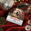 Custom Photo Dog First Christmas Acrylic Snow Globe HA75 898112
