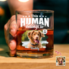 Custom Dog Cat Photo This Human Belongs To Rock Glass - Personalized Pet Lover Gift HA75 921368