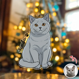 Custom Cute Cat Photo Portrait Christmas Decoration Acrylic Ornament LM32 895715