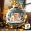 Custom Dog Cat Photo Acrylic Ornament Christmas Gift For Dog Cat Lovers HA75 898378