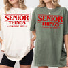 Senior Things Class Of 2027 Comfort Shirt TH10 170595