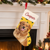 Personalized Dog Photo And Name Christmas Stocking, Holiday Decoration Gift LM32 670479