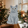 Custom Cute Cat Photo Portrait Christmas Decoration Acrylic Ornament LM32 895715