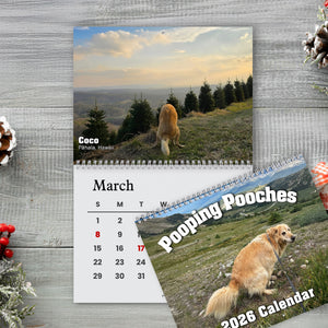 2026 Pooping Pooches Funny Dog Wall Calendar, White Elephant Gag Gift LM32 897307
