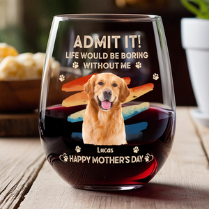 Custom Photo Admit It Life Would Be Boring Without Us Wine Glass HA75 892124
