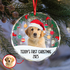 Custom Photo First Christmas Glass Ornament For Dog Lover TH10 894283