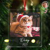 Custom Cat Photo Acrylic Ornament Christmas Gift For Cat Lovers LM32 895771