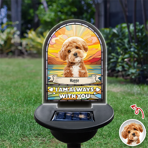 Custom Dog Cat Photo I'm Always With You Memorial Solar Light TH10 896055