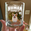 Custom Dog Cat Photo This Human Belongs To Rock Glass - Personalized Pet Lover Gift HA75 921368