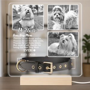 Custom Photo Don't Cry For Me Memorial Acrylic Collar Frame TH10 894109