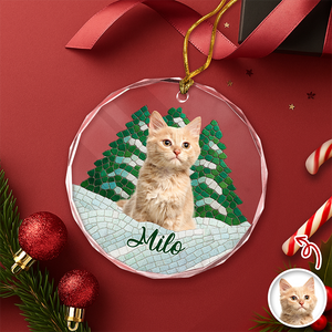 Custom Photo Cat Mosaic Style Glass Ornament Christmas Gift LM32 895049