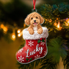 Personalized Pet Face Christmas Stocking Acrylic Ornament TH10 171451
