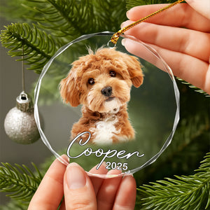 Custom Pet Photo Christmas Glass Ornament Gift For Pet Lovers TH10 894775
