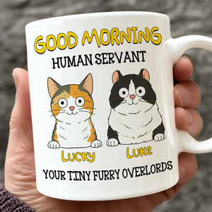 Good Morning Human Servant Personalized Mug For Cat Lover TH10 892725