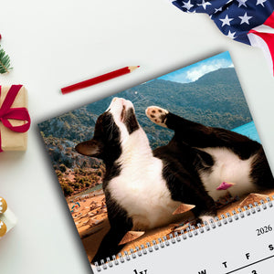Funny Lazy Cats Wall Calendar 2026 For Cat Lovers LM32 897309