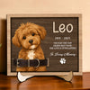 Custom Dog Portrait Photo Memorial 2-Layers Wooden Collar Frame Sympathy Gift LM32 893785