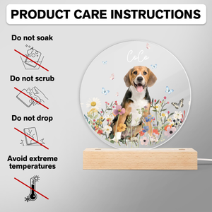 Custom Pet Portrait Photo LED Night Light Gift For Pet Memorial TH10 894487