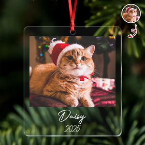 Custom Cat Photo Acrylic Ornament Christmas Gift For Cat Lovers LM32 895771