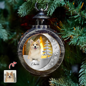 Custom Funny Dog Photo 3D Blink Effect Christmas Lantern Ornament LM32 895787