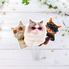 Custom Photo Funny Dog Cat Face Fan TH10 892545