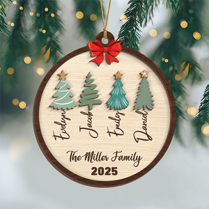 Custom Family Name Christmas Layer Wood Ornament Gift For Family HO82 900720
