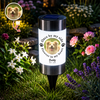 Custom Photo You Would Have Lived Forever - Memorial Personalized Solar Garden Light HA75 921754