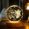 Custom Photo Dog Memorial Engraved Crystal Photo With Light TH10 898177