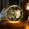 Custom Photo Dog Memorial Engraved Crystal Photo With Light TH10 898177